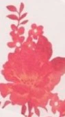 Achelle Maxi Dress - Red Floral - Image 7