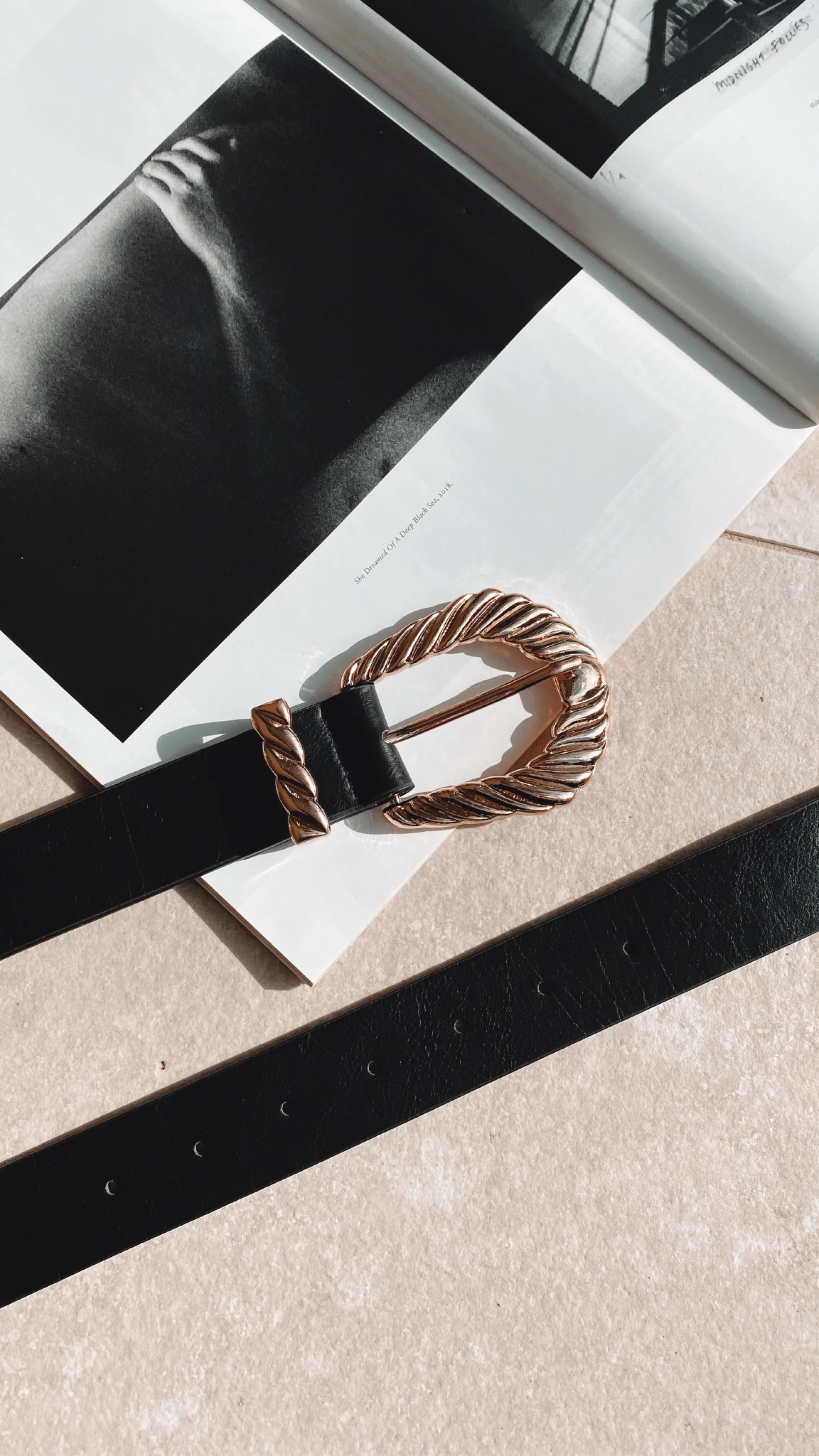 Amelie Twist Buckle Belt - Black/Gold - Image 12