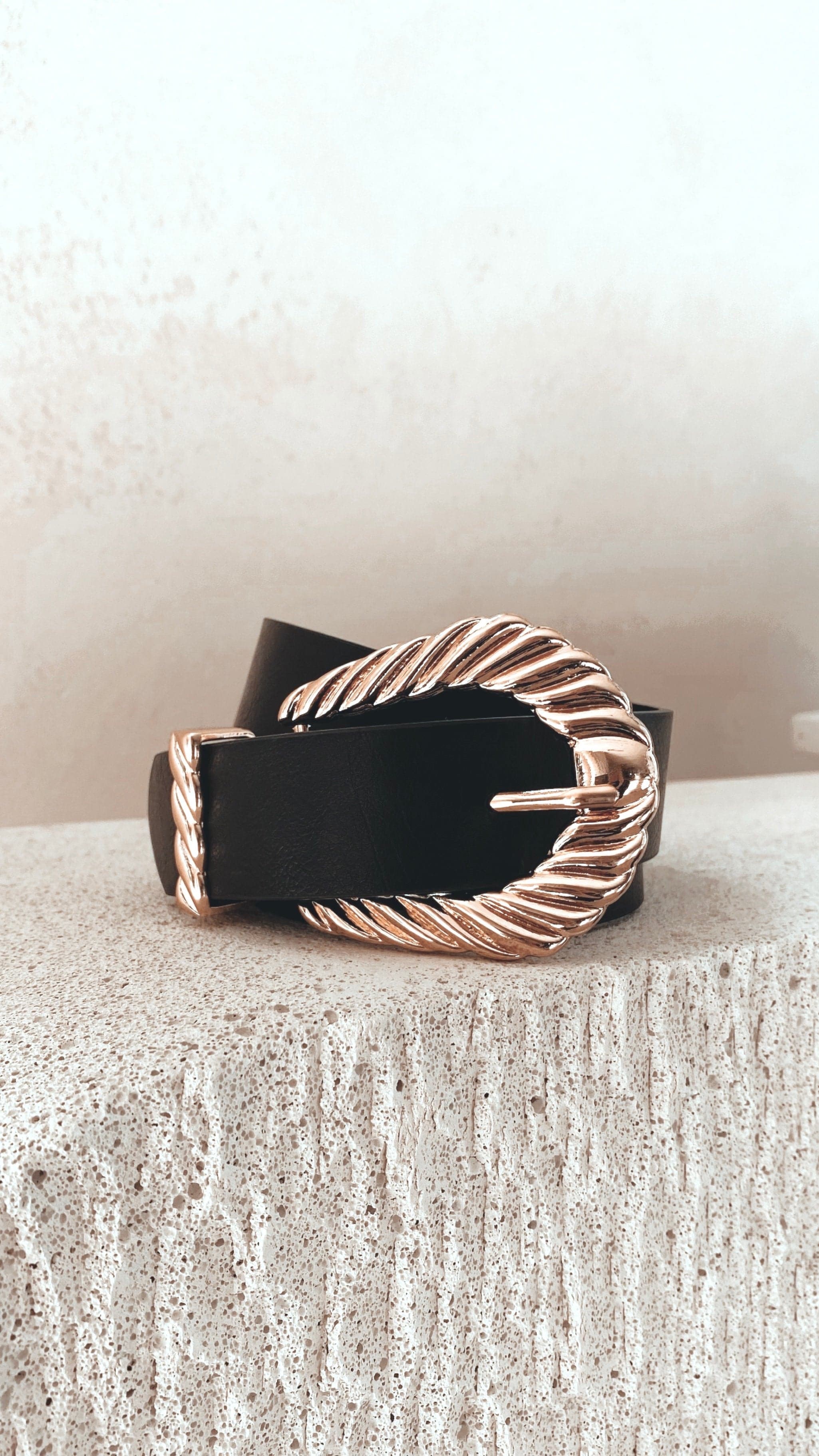 Amelie Twist Buckle Belt - Black/Gold - Image 13