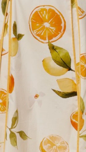 Antonia Maxi Dress - Sunshine and Lemons - Image 8