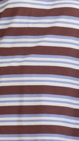 Bobby Crew Neck Tee - Blue/Chocolate Stripe - Image 11