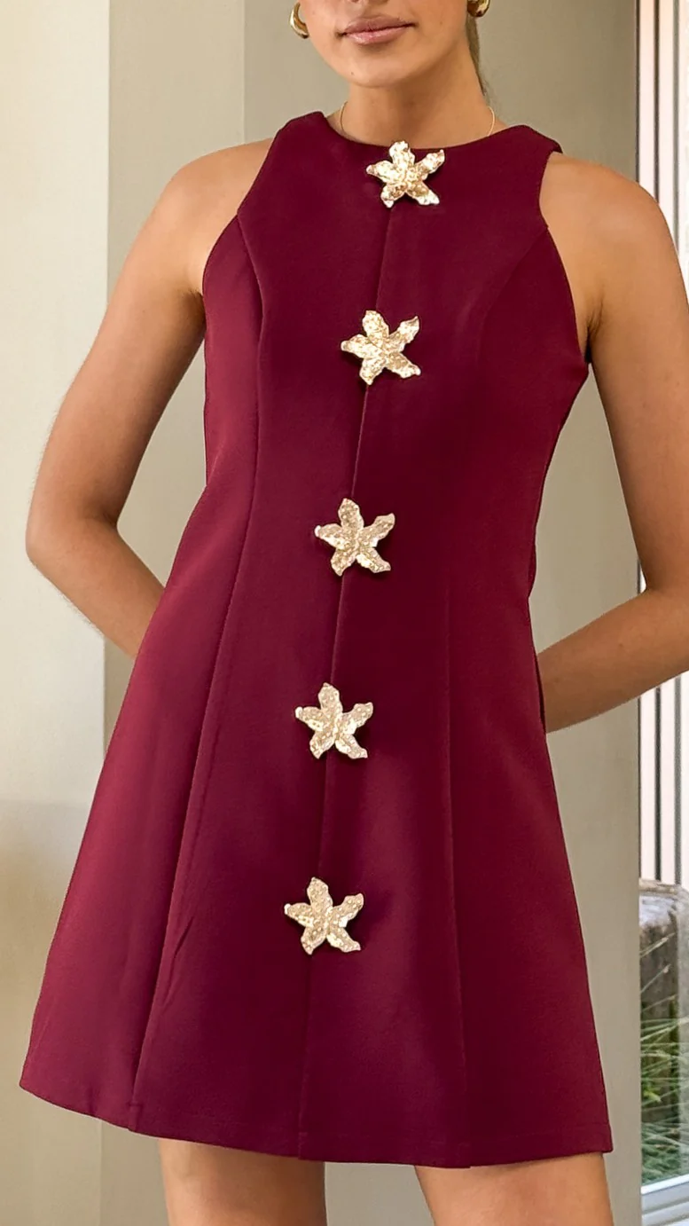 Daray Mini Dress - Burgundy/Star - Image 5