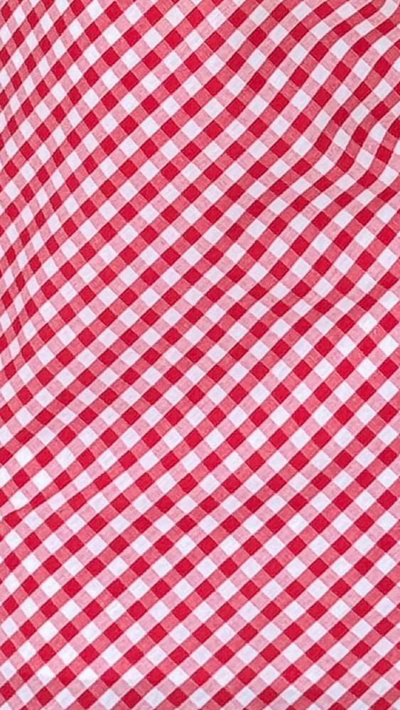 Jakayla Maxi Skirt - Picnic Red - Image 7