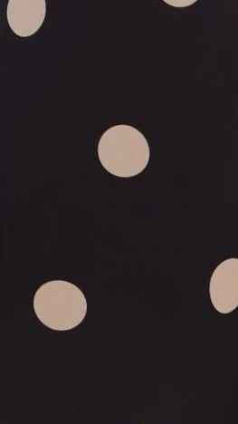 Jianna Maxi Dress - Black/Cream Polka - Image 9