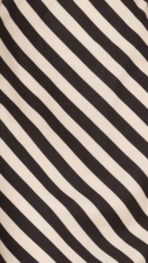 Josie Pants - Black/Beige Stripe - Image 13