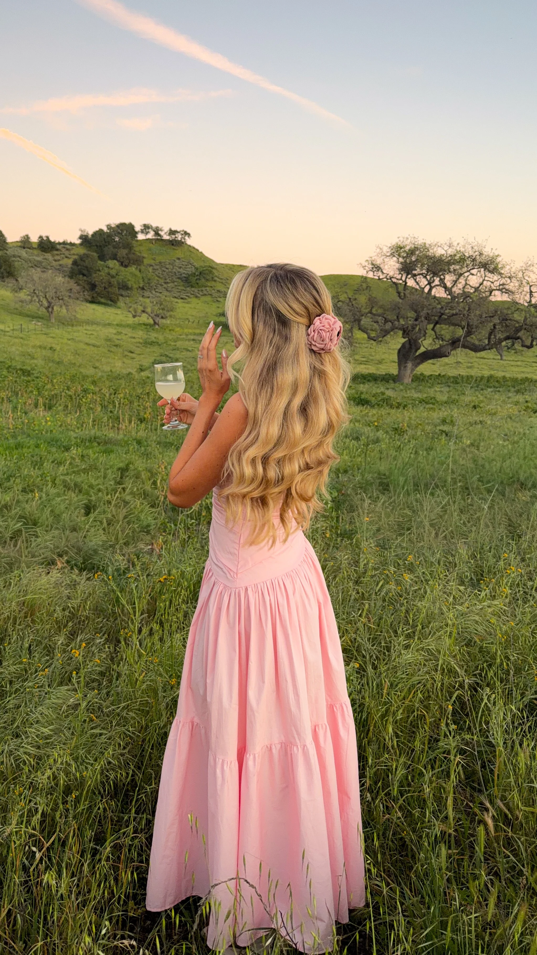 Lola Maxi Dress - Pink - Image 14
