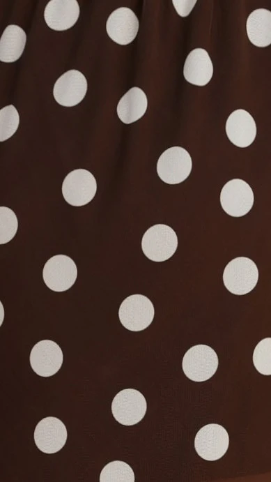 Onella Semi Sheer Maxi Skirt - Chocolate / White Polka Dot - Image 11