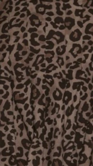 Peyton Button Up Shirt - Leopard Print - Image 6