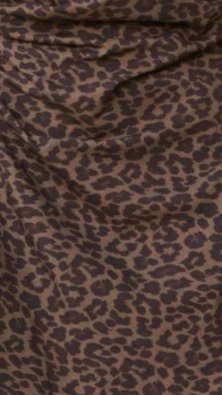 Ravina Mini Dress - Leopard Print - Image 11