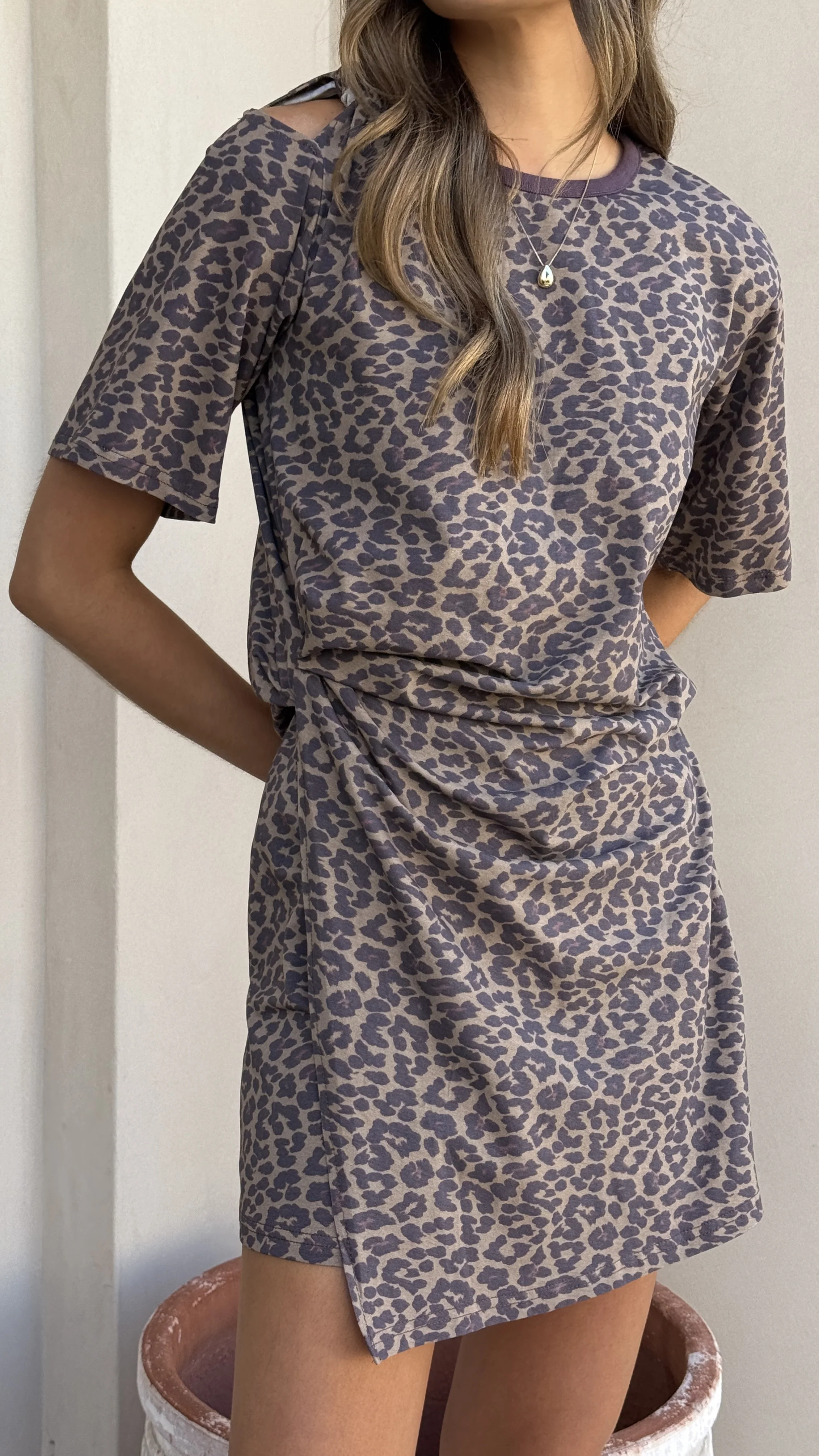 Ravina Mini Dress - Leopard Print - Image 4