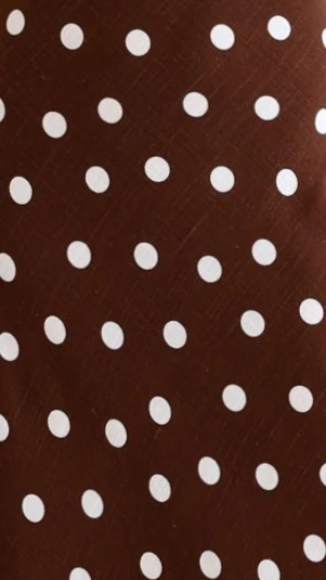Rayne Maxi Dress - Brown/White Polka - Image 6