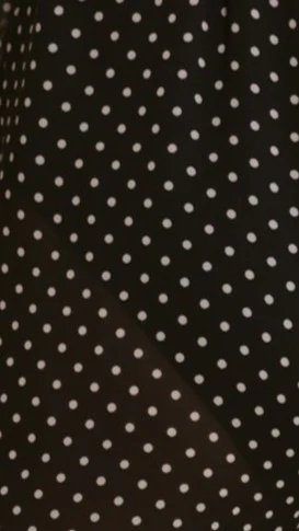 Reda Semi Sheer Pants - Black/White Spot - Image 12